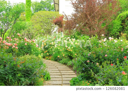 A hill park with a view of the port in full bloom 126082081