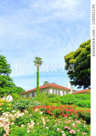 一個小山公園，可以看到盛開的港口 126082144