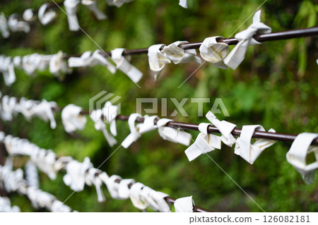 Tied fortune slips at a shrine and green background Tied fortune slips at a shrine and green background 126082181