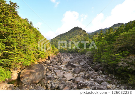 清晨的屋久島河岸 清晨的屋久島河岸 126082228