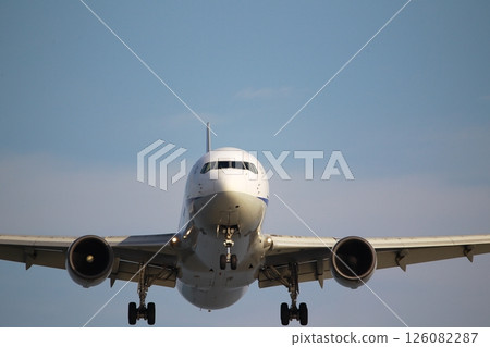 Airplane landing 126082287