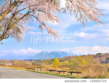 Scenery of cherry blossoms in full bloom and Mount Nasu in Nasushiobara City, Tochigi Prefecture 126082724