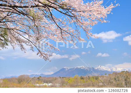 Scenery of cherry blossoms in full bloom and Mount Nasu in Nasushiobara City, Tochigi Prefecture 126082726