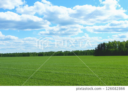 Green field and clouds Green field and clouds 126082866