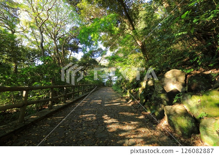 Kanagawa Prefecture, Yokosuka City, Kurihama Flower World 126082887