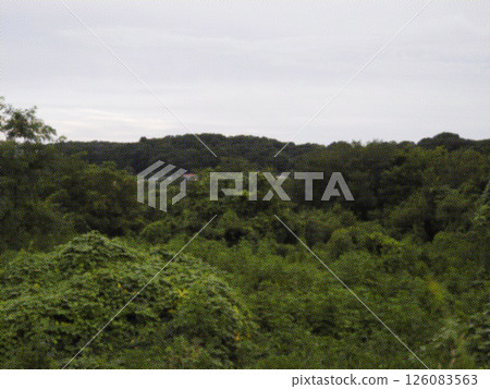 A landscape of green hills. Illustrated photo. 126083563