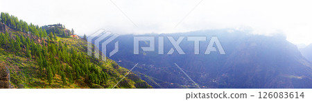 Canary pines growing on mountain ridge in la palma, canary islands, spain 126083614