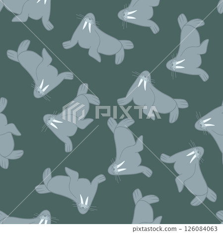 Vector isolated illustration of a pattern with walruses. Children's pattern with animals. Vector isolated illustration of a pattern with walruses. Children's pattern with animals. 126084063