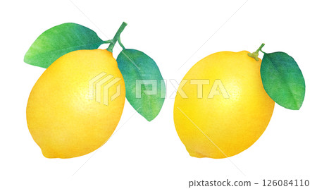 新鮮檸檬和葉子手繪插圖集_水彩_柑橘類水果 126084110