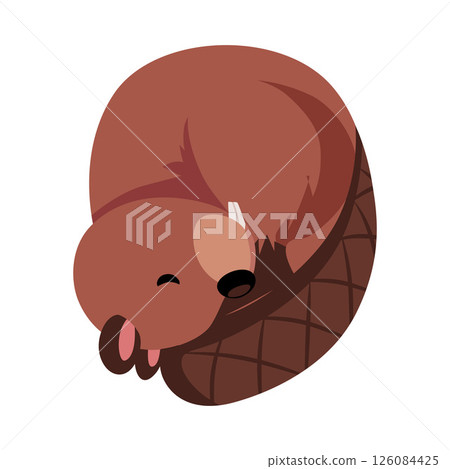 Vector illustration of a cute sleeping beaver. Cartoon character. Vector illustration of a cute sleeping beaver. Cartoon character. 126084425
