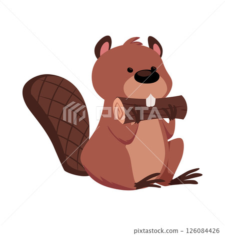 Cute beaver chewing wood vector flat illustration, cartoon wild animal holding and gnawing tree trunk, fauna character Cute beaver chewing wood vector flat illustration, cartoon wild animal holding and gnawing tree trunk, fauna character 126084426