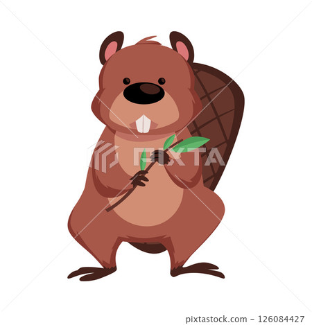 Cute beaver holding tree twig vector flat illustration, cartoon brown wild rodent animal with large flat tail Cute beaver holding tree twig vector flat illustration, cartoon brown wild rodent animal with large flat tail 126084427