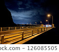 A sea bridge illuminated by moonlight 126085505