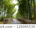 與竹林的風景 126085530