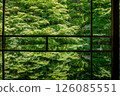 綠樹成蔭的日式房間 126085551