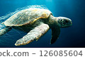 Sea turtle navigating through ocean with entangled netting encounters environmental challenge 126085604