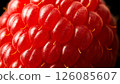 Closeup growth and ripening of raspberry in high definition 4k macro view 126085607