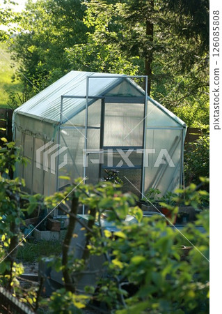 A greenhouse is surrounded by trees and bushes A greenhouse is surrounded by trees and bushes 126085808