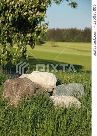A group of rocks are sitting in a grassy field 126085809