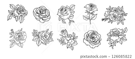 Hand drawn roses flowers line art illustration with floral botanical elements nature outline and sketch style 126085822