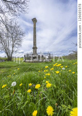 Gallo Roman column standing in a field of dandelions in Cussy la Colonne, France 126085978