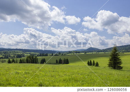 Green meadow and forest landscape in Bieszczady Mountains, Poland, under a cloudy sky Green meadow and forest landscape in Bieszczady Mountains, Poland, under a cloudy sky 126086056