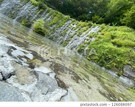 A natural stream where water flows down rocks covered in greenery 126086097