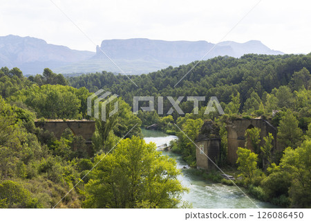 Ruined Bridge over Gallego River near Murillo de Gallego, Spain, showing lush vegetation 126086450