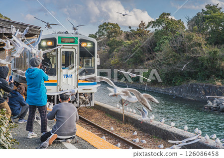 靜岡縣濱松市天龍濱名湖鐵道濱名湖佐久目站的海鷗飛翔與火車的景色 靜岡縣濱松市天龍濱名湖鐵道濱名湖佐久目站的海鷗飛翔與火車的景色 126086458