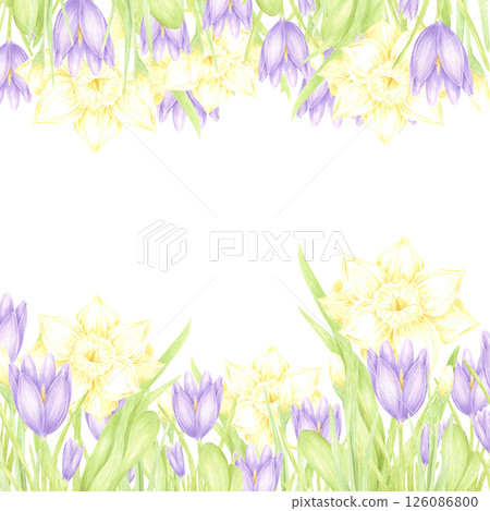 Hand drawn watercolor daffodil and crocus with green leaves frame border isolated on white background. Can be used for postcard, invitation, scrapbook and other printed products. Hand drawn watercolor daffodil and crocus with green leaves frame border isolated on white background. Can be used for postcard, invitation, scrapbook and other printed products. 126086800
