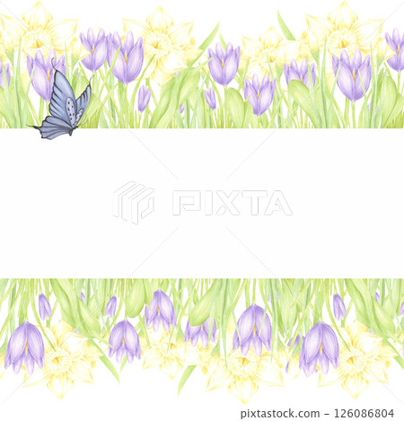Hand drawn watercolor daffodil and crocus with green leaves and butterflies frame border isolated on white background. Can be used for postcard, invitation, scrapbook and other printed products. Hand drawn watercolor daffodil and crocus with green leaves and butterflies frame border isolated on white background. Can be used for postcard, invitation, scrapbook and other printed products. 126086804