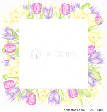 Hand drawn watercolor daffodil tulip and crocus with green leaves frame border isolated on white background. Can be used for postcard, invitation, scrapbook and other printed products. 126086808