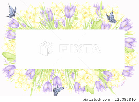 Hand drawn watercolor daffodil and crocus with butterflies and pearls frame border isolated on white background. Can be used for postcard, invitation, scrapbook and other printed products. Hand drawn watercolor daffodil and crocus with butterflies and pearls frame border isolated on white background. Can be used for postcard, invitation, scrapbook and other printed products. 126086810