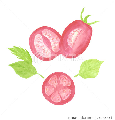 Hand drawn watercolor tomatoes and basil composition. Illustration of vegetables isolated on white background. Can be used for label, card, scrapbook and other printed products. Hand drawn watercolor tomatoes and basil composition. Illustration of vegetables isolated on white background. Can be used for label, card, scrapbook and other printed products. 126086831