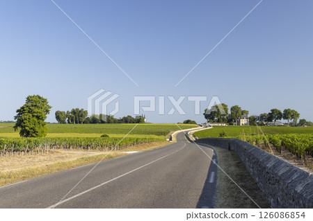 Typical vineyards near Chateau Pichon Longueville Baron, Bordeaux, Aquitaine, France 126086854