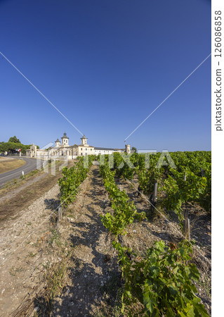 Vineyards with Chateau Cos d'Estournel, Bordeaux, Aquitaine, France Vineyards with Chateau Cos d'Estournel, Bordeaux, Aquitaine, France 126086858