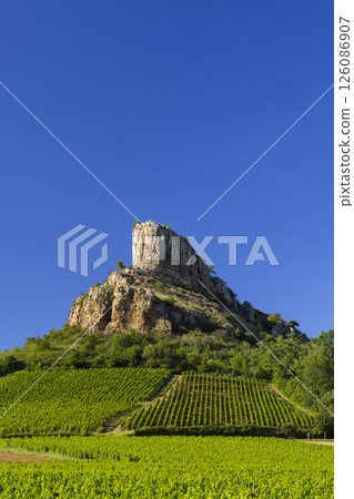 Rock of Solutre with vineyards, Burgundy, Solutre-Pouilly, France 126086907