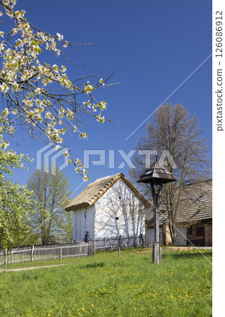 Blooming tree near old rural houses in Kourim open air museum, Czechia Blooming tree near old rural houses in Kourim open air museum, Czechia 126086912