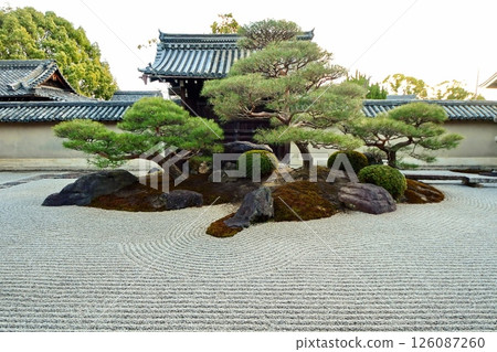 京都府,東寺甘地院,涅槃花園「長者之庭」枯山水花園,京都市南區九條町,2022 年 2 月 京都府,東寺甘地院,涅槃花園「長者之庭」枯山水花園,京都市南區九條町,2022 年 2 月 126087260