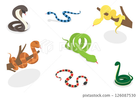 3D Isometric Flat Illustration of Colorful Poisonous Snakes, Vivid Toxic Serpents 3D Isometric Flat Illustration of Colorful Poisonous Snakes, Vivid Toxic Serpents 126087530
