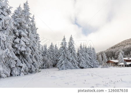 Winter landscape of the mountain. 126087638