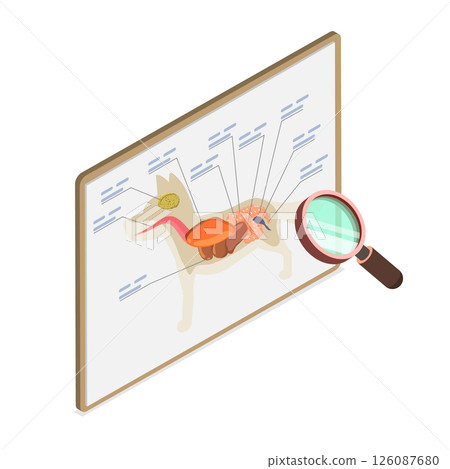 3D Isometric Flat  Illustration of Dog Anantomy, Internal Organ Examination Reveals A Dog Internal Organs 126087680