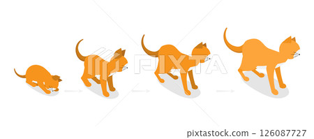 3D Isometric Flat Illustration of Cat Life Cycle, Pets in Different Ages 3D Isometric Flat Illustration of Cat Life Cycle, Pets in Different Ages 126087727