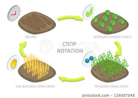 3D Isometric Flat Illustration of Crop Rotation, Growing a Series of Different Types of Plants in the Same Area 3D Isometric Flat Illustration of Crop Rotation, Growing a Series of Different Types of Plants in the Same Area 126087848