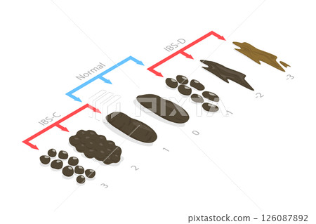 3D Isometric Flat  Illustration of IBS Stages, Various Types of Human Feces 126087892
