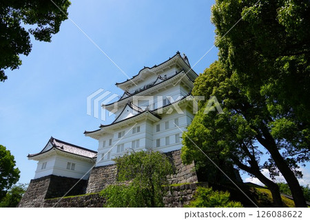 Castle (Odawara Castle) 126088622
