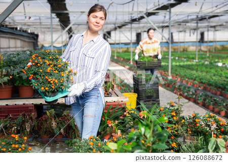 Gardener holding box with seedlings, looking at camera and smiling 126088672