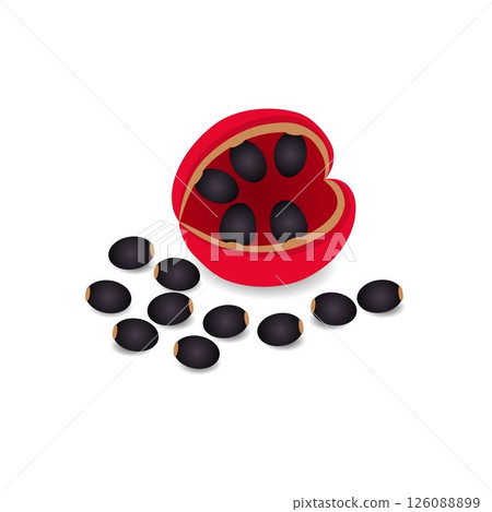 Exotic fresh sterculia quadrifida fruit with seeds on white background. 126088899