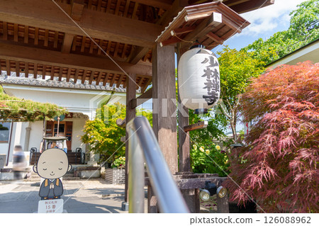 The gate and lantern of Shorinji Temple, the 15th temple in Chichibu 126088962