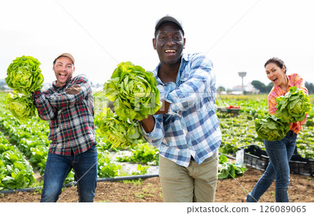 Positive multiethnic farmers dancing on lettuce field 126089065